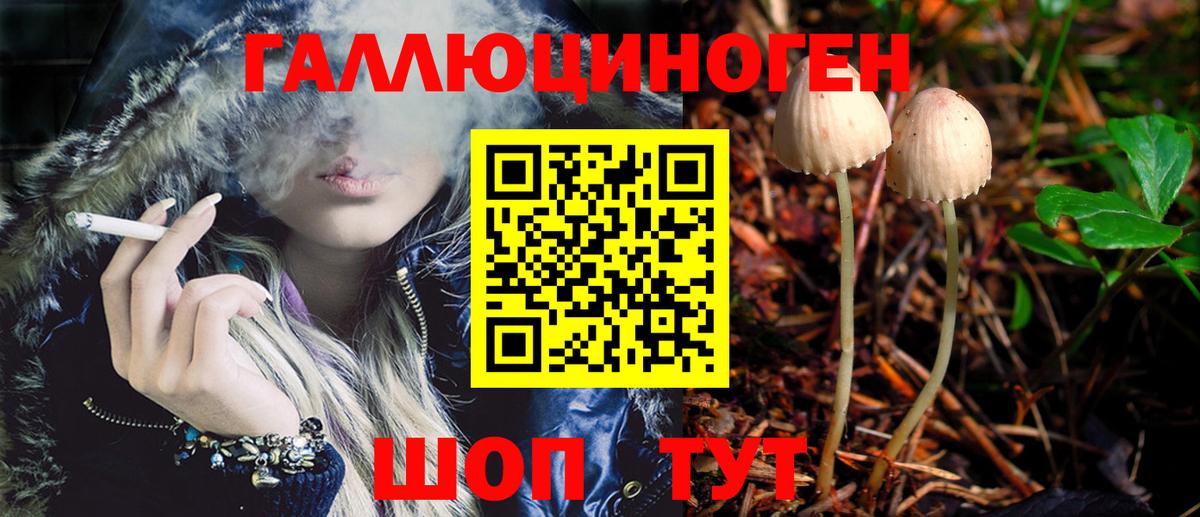 Галлюциногенные грибы мицелий  Вход с VPN  Ефремов 