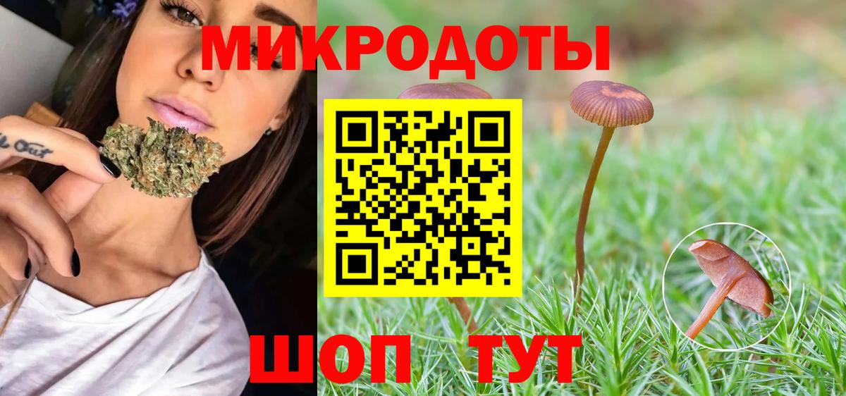 Галлюциногенные грибы прущие грибы Ефремов
